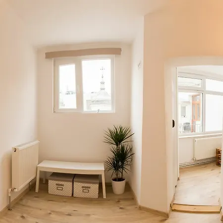 Spacious Ultracentral Old Apartment