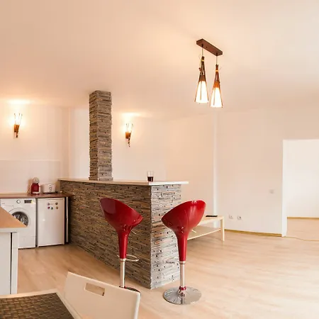 Spacious Ultracentral Old Apartment